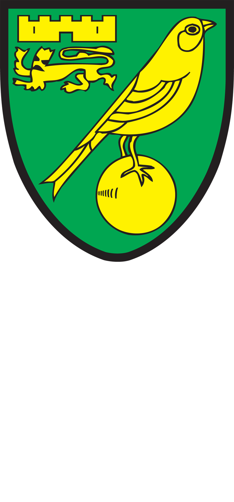 Norwich City F - Norwich City Football Club (791x1697)