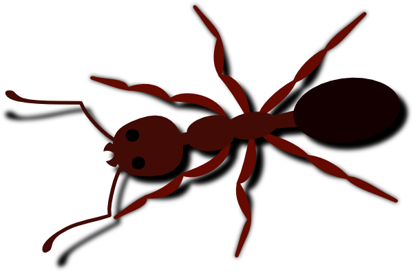 Ant, Bug, Insect, Brown, Animal - Ant Clip Art (960x632)