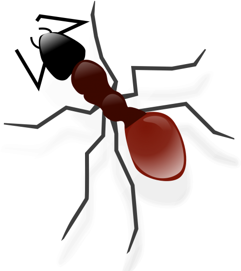 Ant Png Transparent Images - Carpenter Ant (500x568)