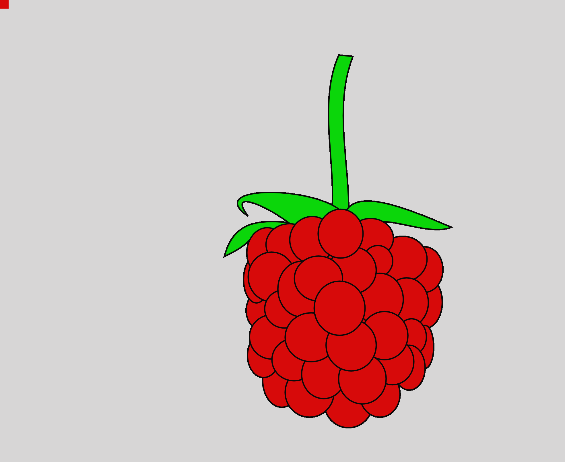 Raspberry Clipart - Custom Red Raspberry Shower Curtain (1969x1610)