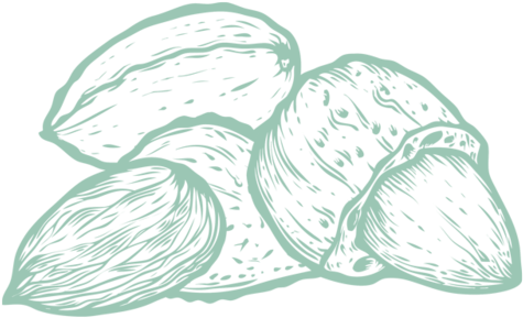 Going Nuts - Nut (500x434)