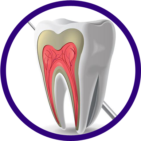 Dental Soft - Dental Software (500x500)