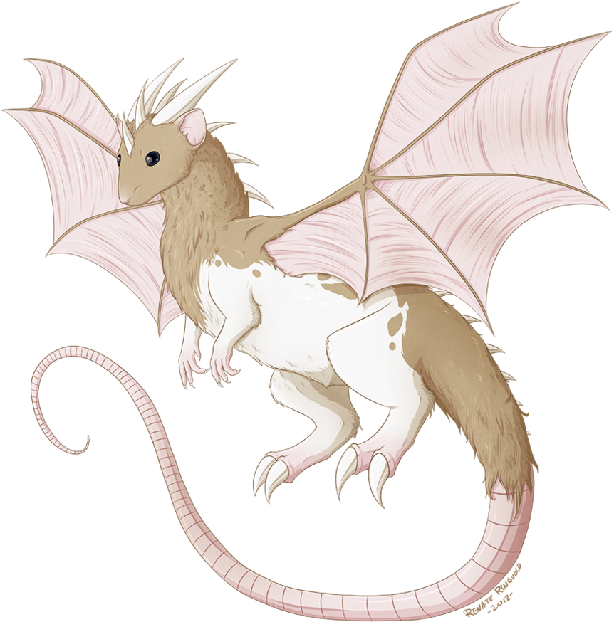 Year Of The Dragon, Rat By Renathory - Rat (894x894)