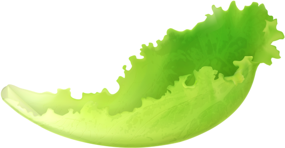 Leaf Lettuce Png Clipart - Lettuce Leaf Clipart (600x336)