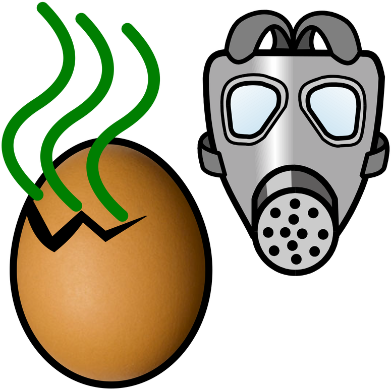 Rotten Egg Clipart - Rotten Egg Clipart (800x800)