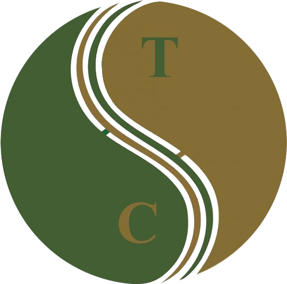 Art Of Wellness - Traditional Chinese Medicine Icon (604x600)