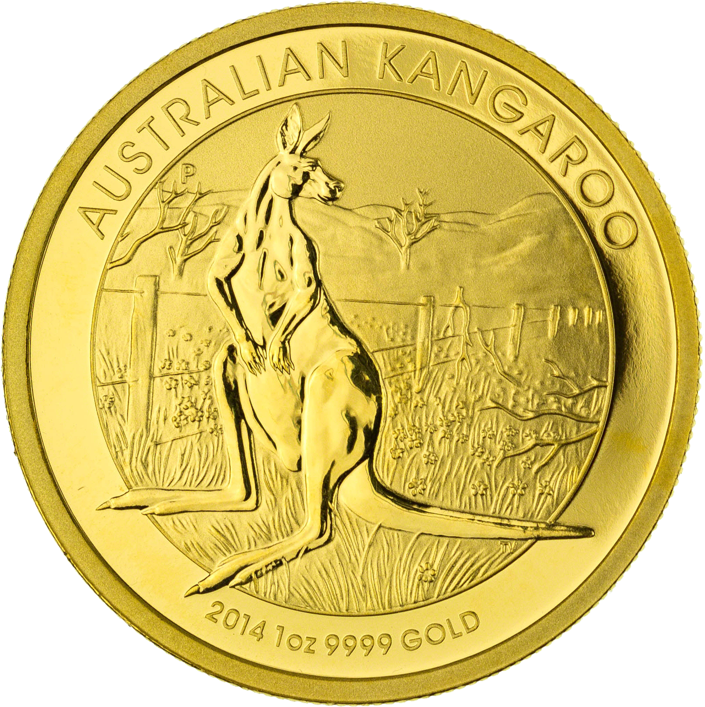 Images Of Gold Coins - 2007 Vienna Philharmonic Coin (2400x2400)