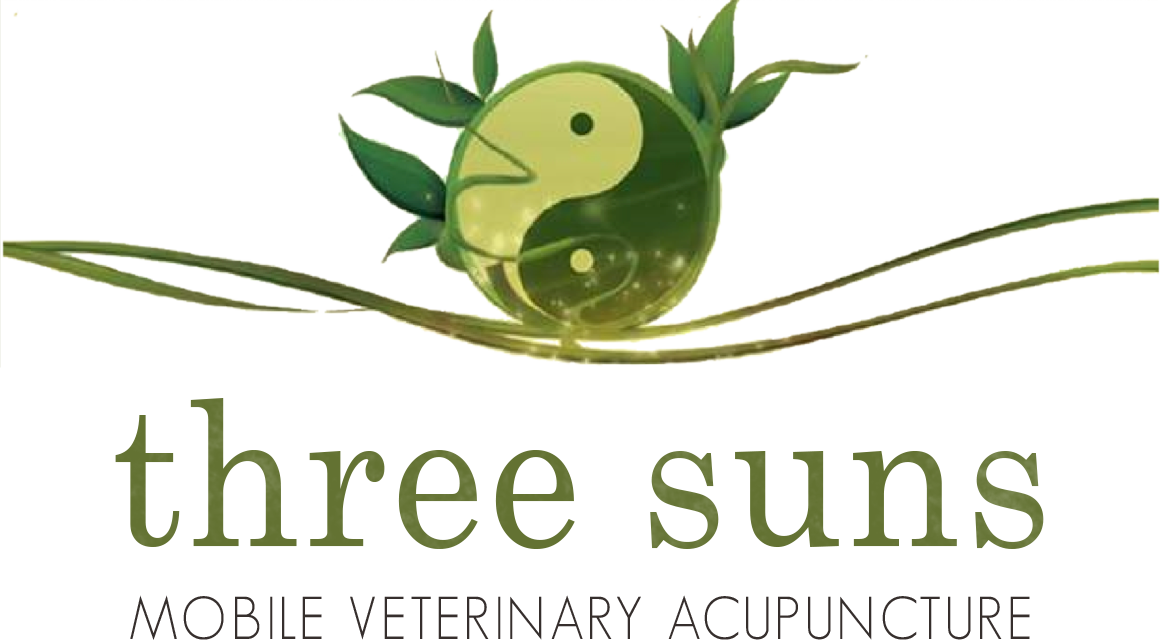 Three Suns Mobile Veterinary Acupuncture - Veterinary Acupuncture (1160x640)