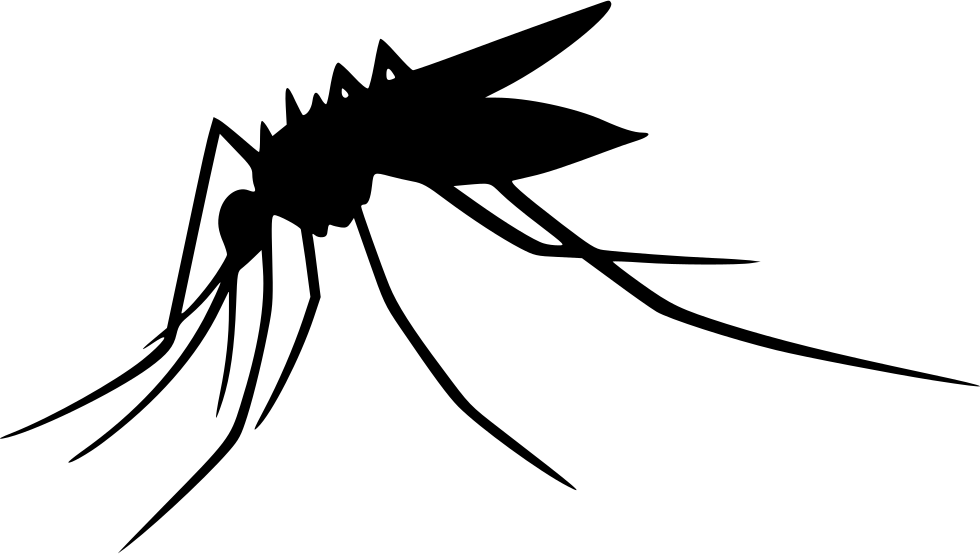 Mosquito Transparent Png - Mosquito Png (980x554)