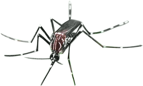Bu-89 - Mosquitoes Png (500x357)