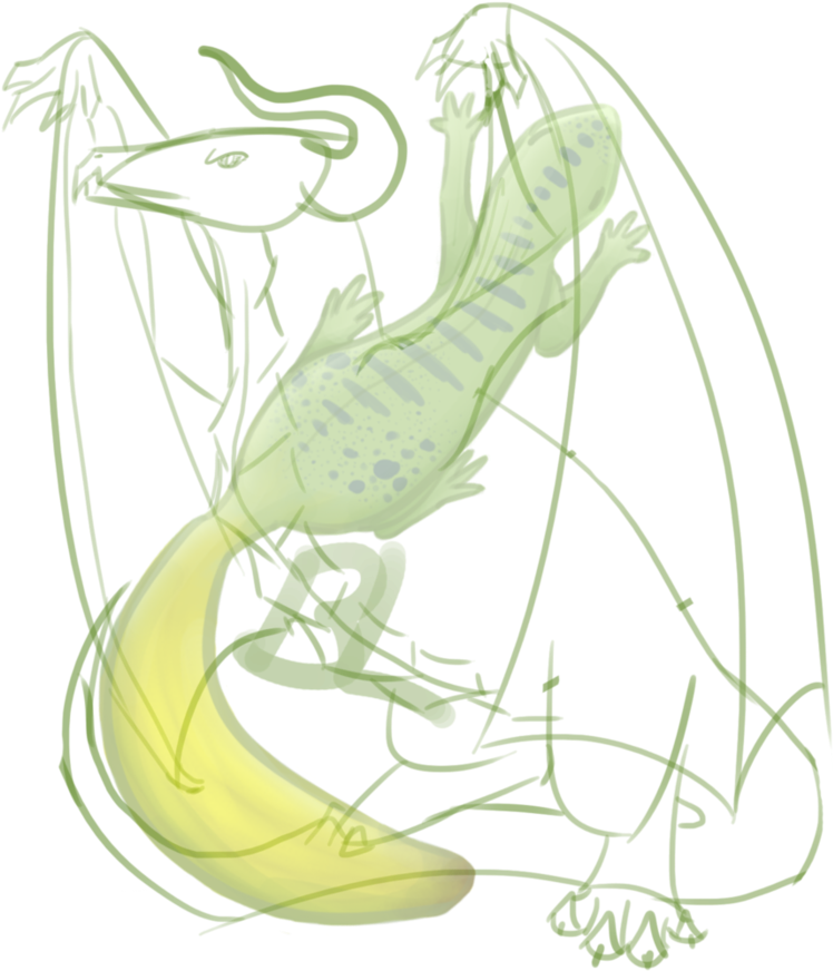 Wyvern Sketch By Bananalizard - Sketch (894x894)