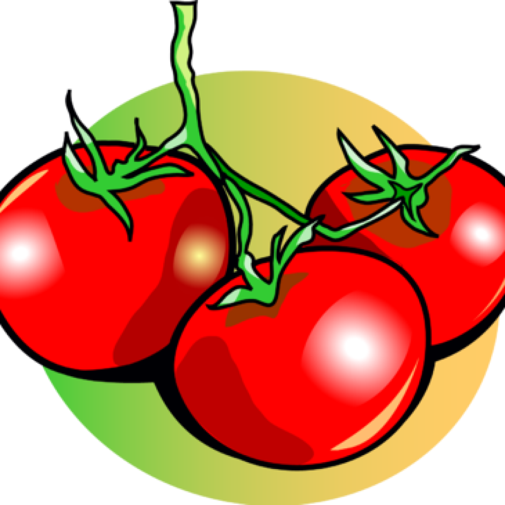 Tomato Clipart Bird Clipart - Tomato Images Clip Art (1024x1024)