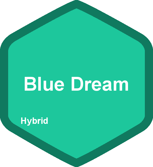 Daniel Sais (600x654)