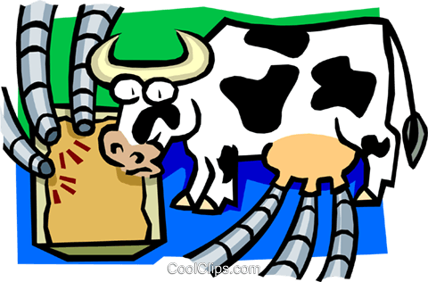 Funny Farmyard Cows Clip Art Images Are On A Transparent - Dairy Cows Being Milked (480x316)