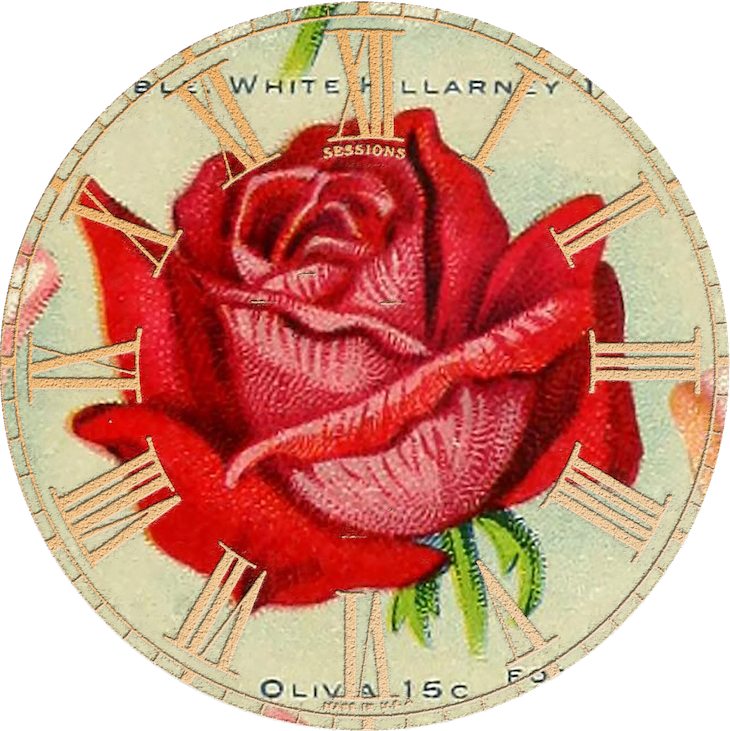 Wings Of Whimsy - Garden Roses (730x731)
