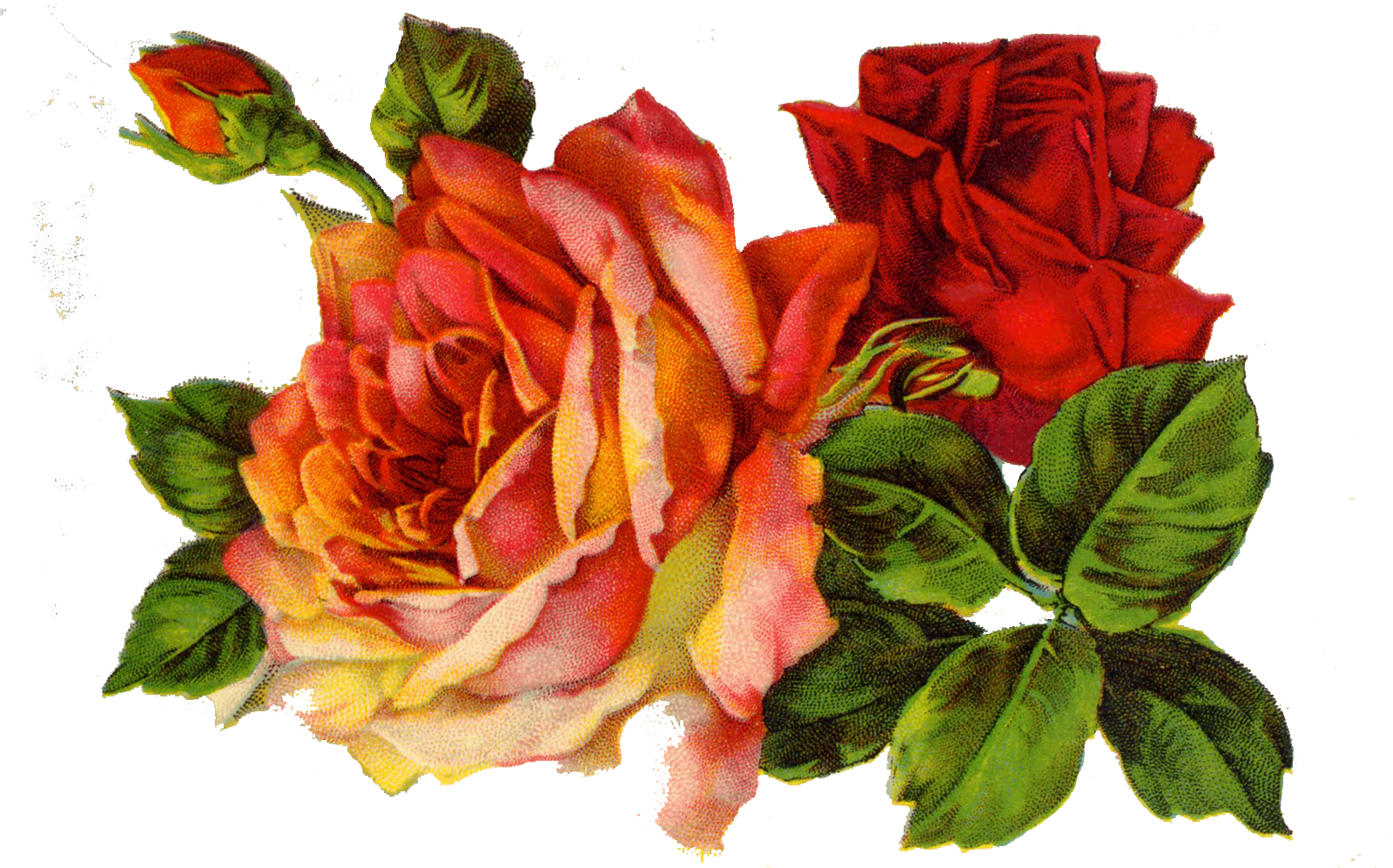 Декупаж Decoupage Roses On Pinterest - Red Roses Vintage Png (1600x997)