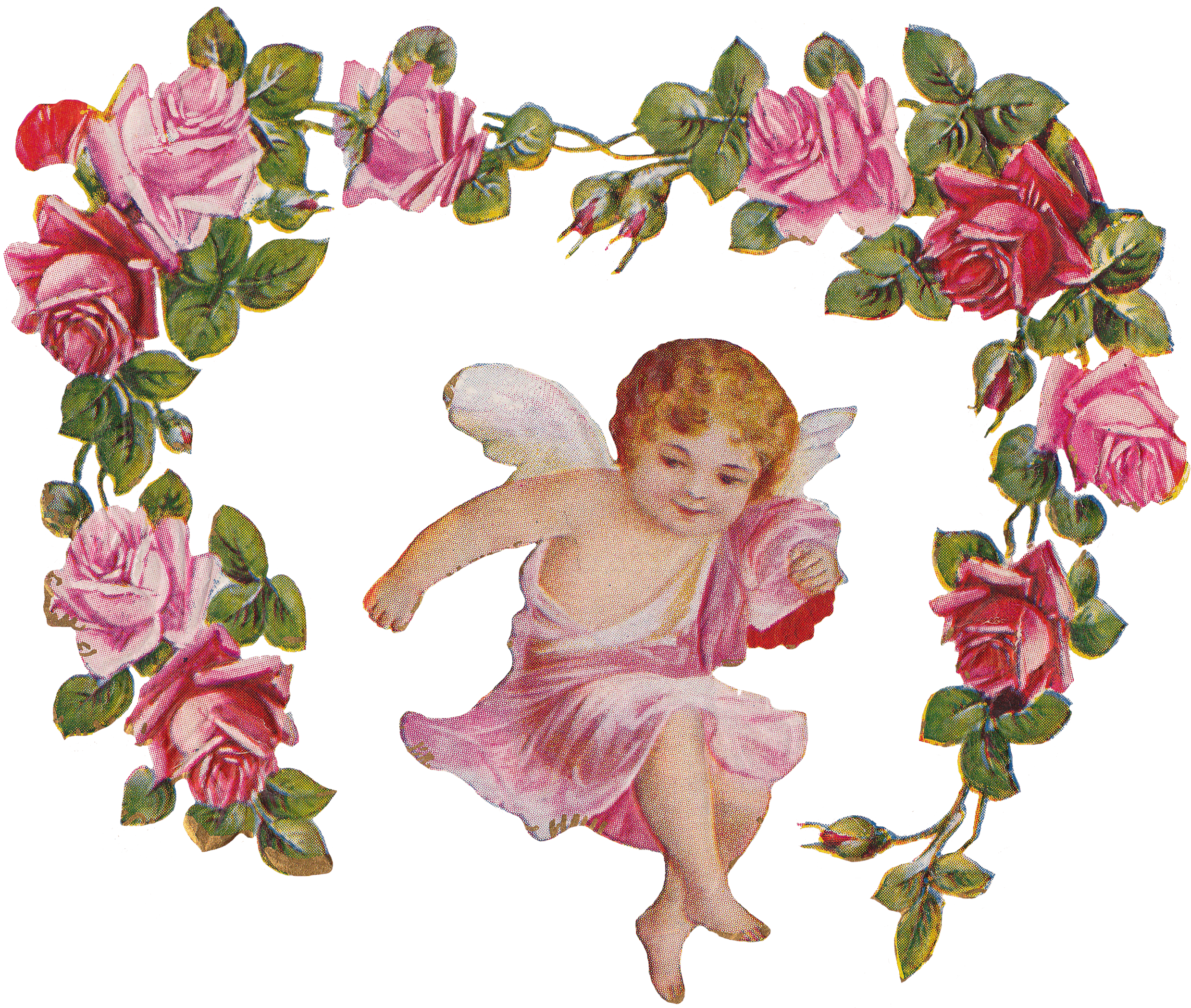 Vintage Faded Blue Jay Bird Art With Transparent Background - Cherub Transparent Background (2488x2103)
