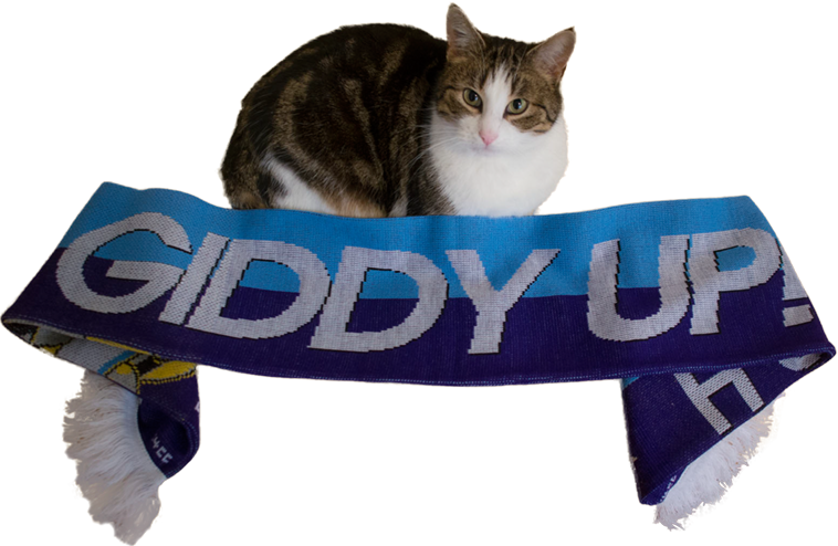 Posted - Mlp 4chan Cup Scarf (758x494)