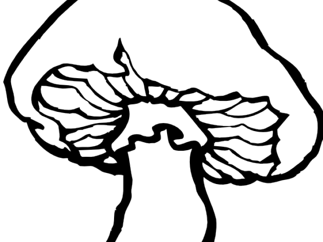 Mushroom Clipart Line Drawing - I'm A Fungi & People Lichen Me Pillow Case (640x480)