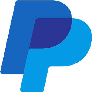 100% Ssl Secure Payment With Worldpay 3d Secure & Paypal - Paypal Icon Png (528x528)