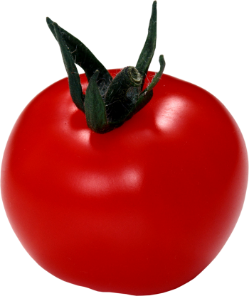 Cherry Tomato Clipart Transparent - Картинки Красный Помидор (350x417)