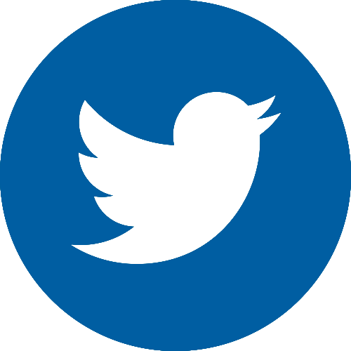 Dash Coin Logo Png (500x500)