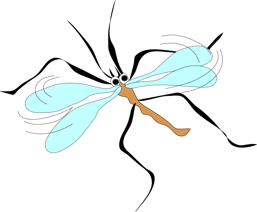 July 4th Weekend Weather Brings Sun, Mosquitoes - Mosquito Clip Art (872x720)