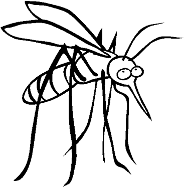 Aviral Resources - Coloring Picture Of Mosquito (400x400)