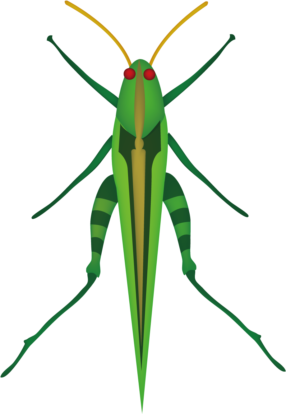 Grasshopper Mosquito Insect Locust Clip Art - Grasshopper Drawing From Above (1500x1501)
