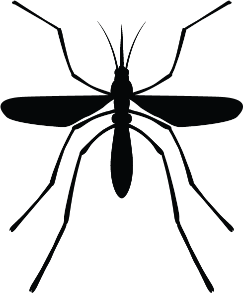 Mosquitos In Minnesota Homes And Offices - Service (600x600)