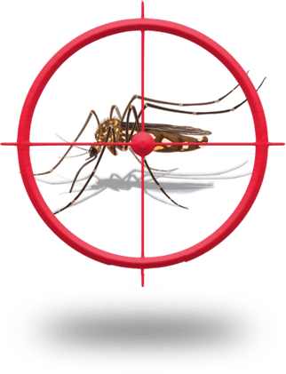 Stop The Mosquito - Crosshair Silhouette (322x421)