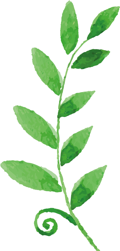 Watercolor Painting Drawing Flower - Watercolor Painting (800x800)