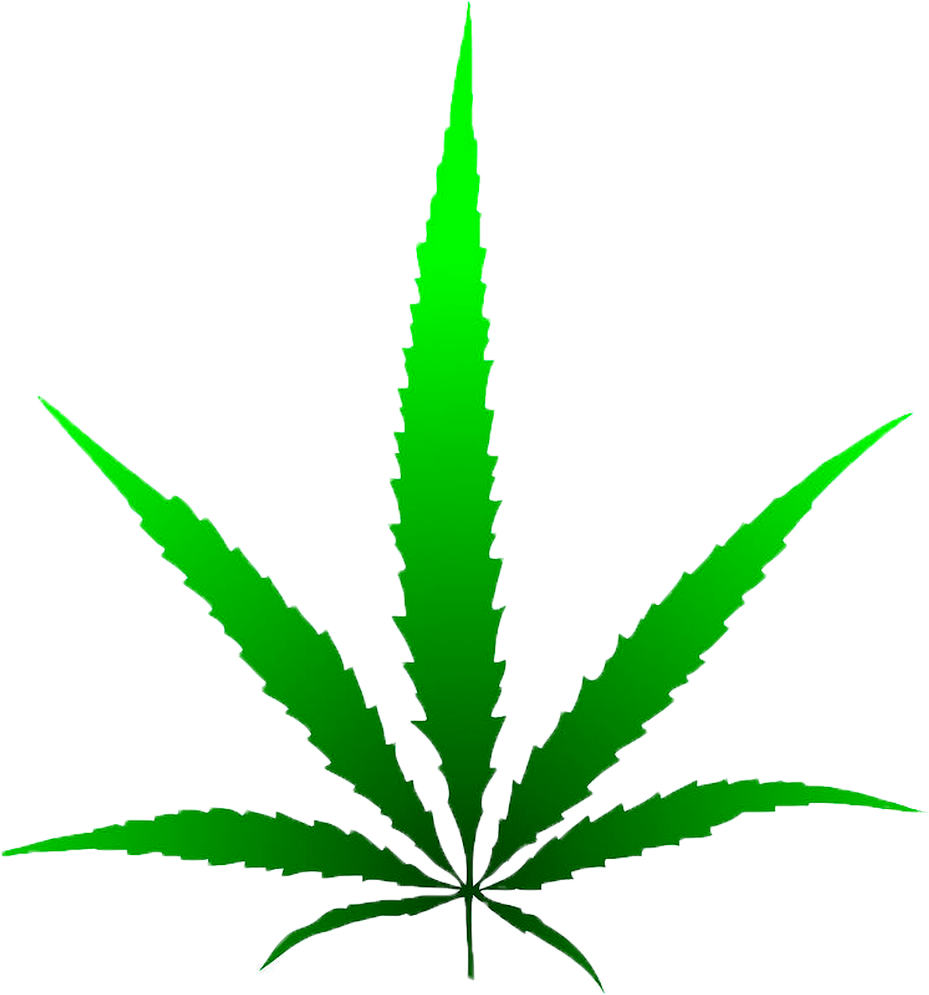 Bud Show - Marijuana Leaf Drawing (988x1108)
