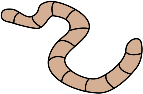 Worm Clipart Long Straight - Worm Clipart (700x525)