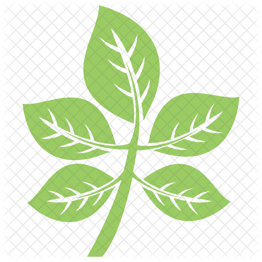 Compound Leaves Icon - Leaflet (512x512)