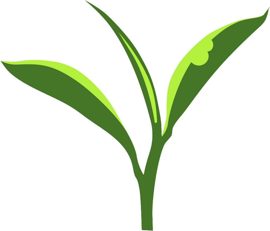 [poster] Generating And Analyzing Metabolomic Data - Cecidomyiidae (1058x917)