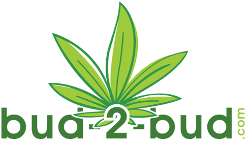 Connecting Cannabis Businesses To Provide A Better - Graphic Design (488x282)