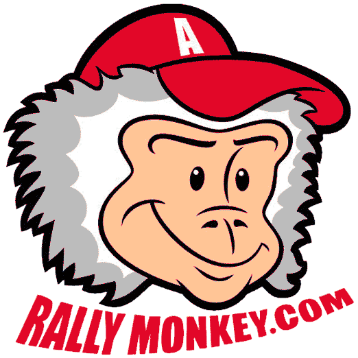 The Rally Monkey Is On Vacation - Rally Monkey (522x522)