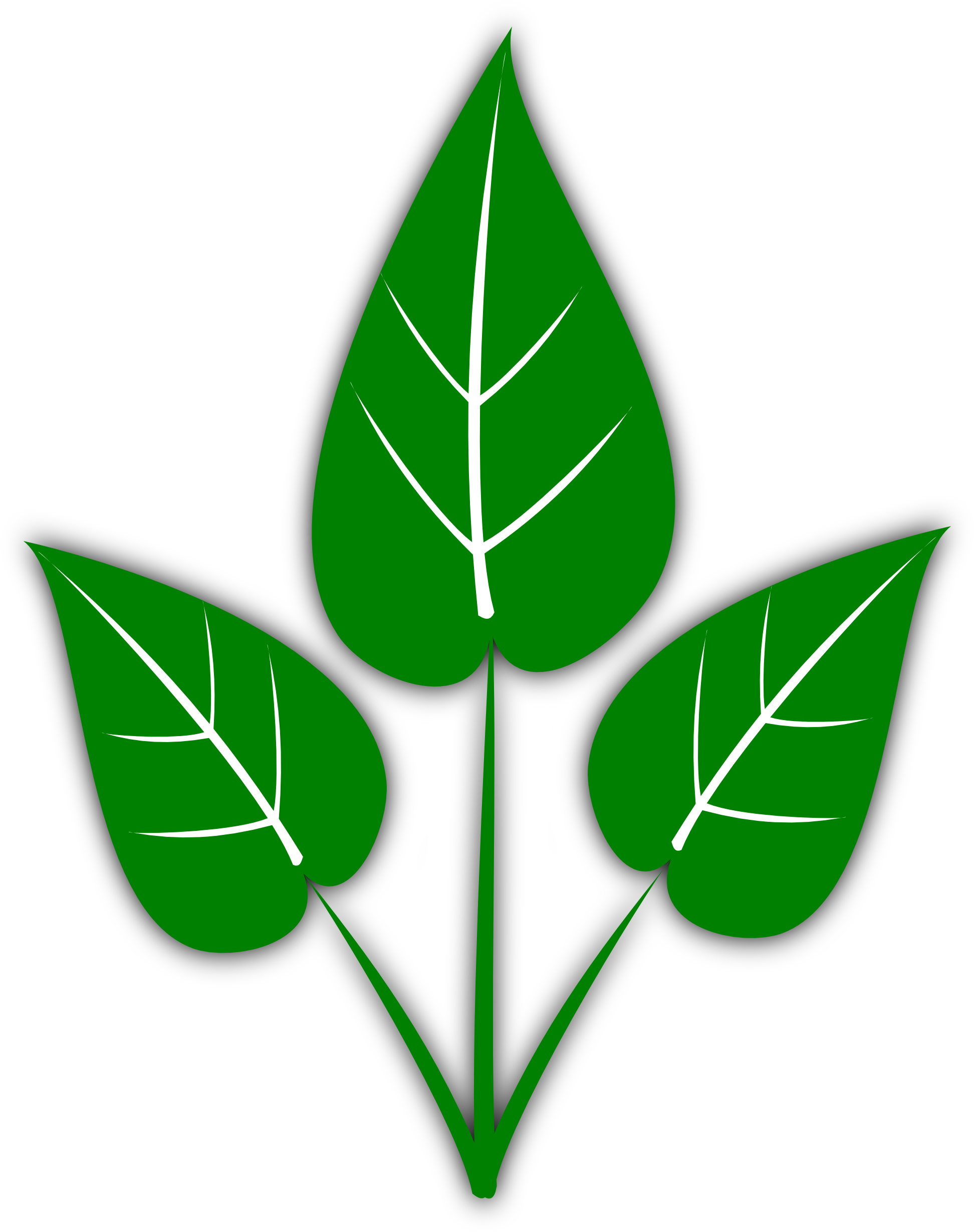 Leaf Line Drawing - Hydroponics Gardening: How To Start Hydroponics System, (1969x2471)