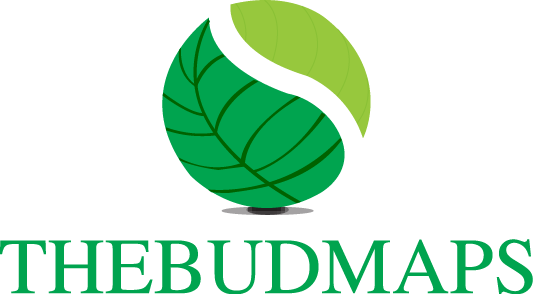 Directory That Connects You With Mmj Dispensaries, - Graphic Design (533x294)