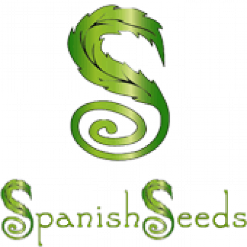 Фемінізовані Насіння Конопель Big Bud Фемінізовані - Feminized Cannabis (500x500)