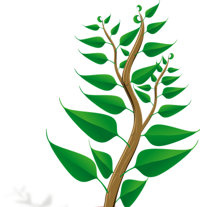 1000j - Getting To Know Plants (395x408)