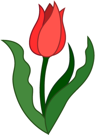 For Download Free Image - Tulip (480x480)