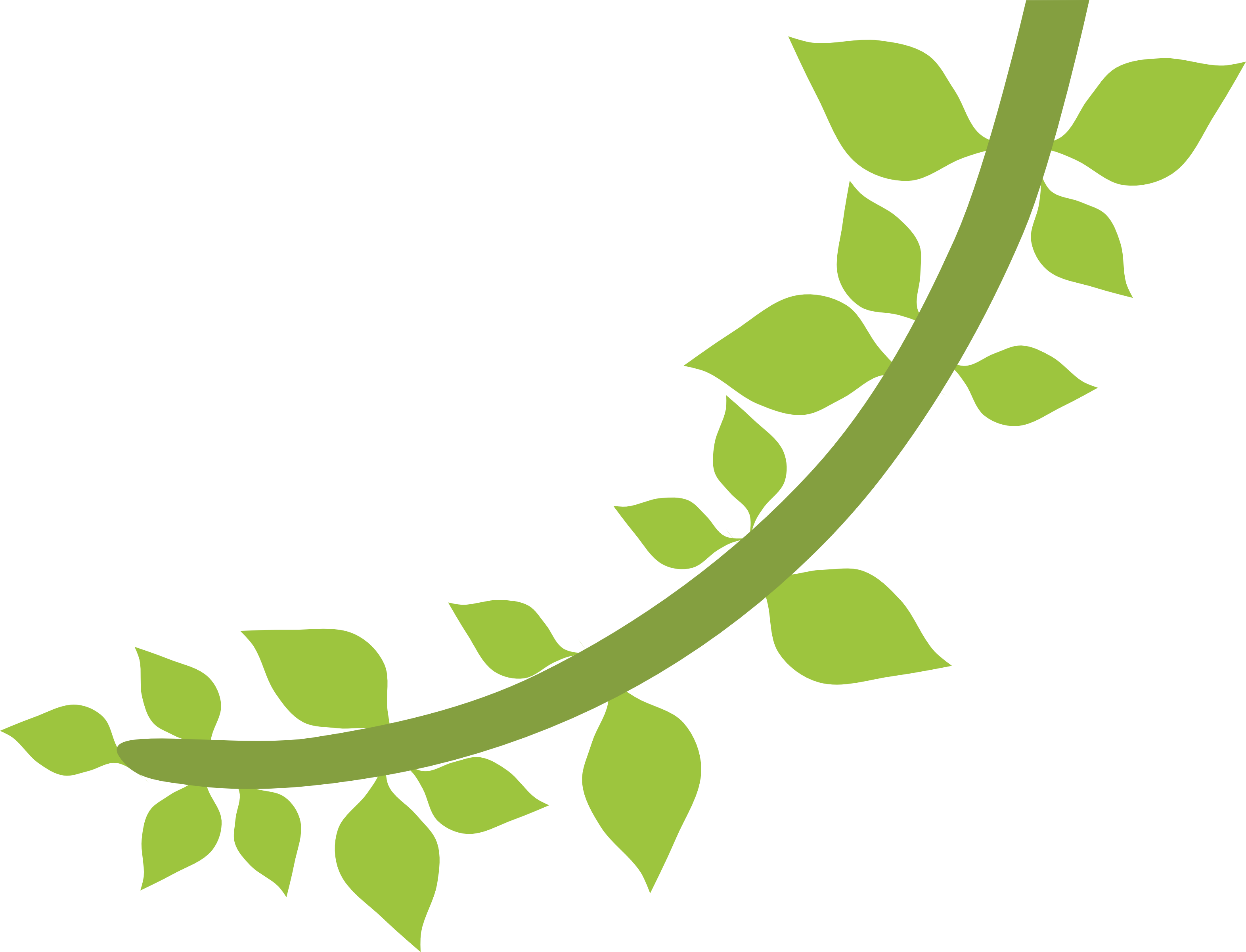 Jungle Leaf Border - Cipó Safari Png (3143x2401)