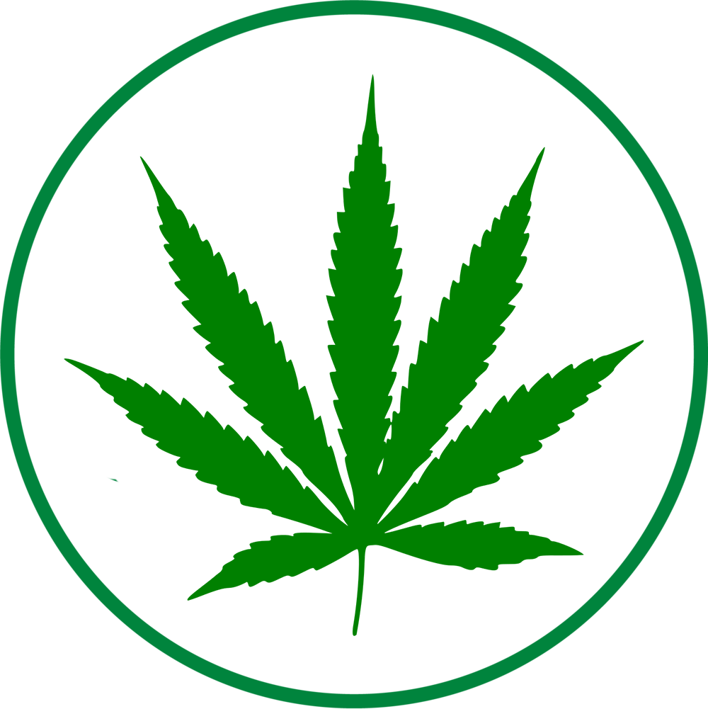 M - Marijuana Leaf Clip Art (1000x1001)