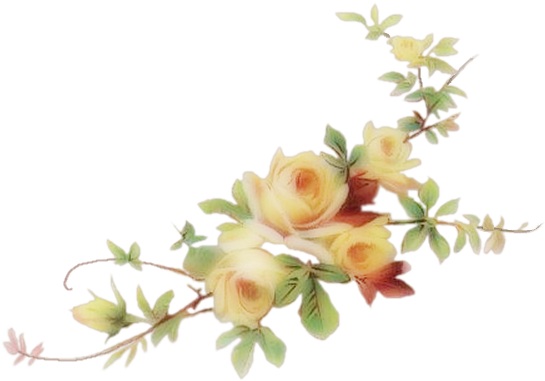 Yellow Roses Vine Png (565x400)