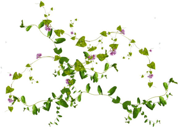 10 Free Plants & Flowers Png Images At Dzzyn - Green Flower Png (640x466)