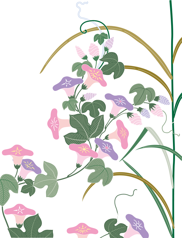 Cartoon Morning Glory - Sweet Pea (602x787)