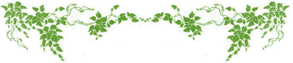 Horizontal Vine Png - Fairy Vines (970x209)