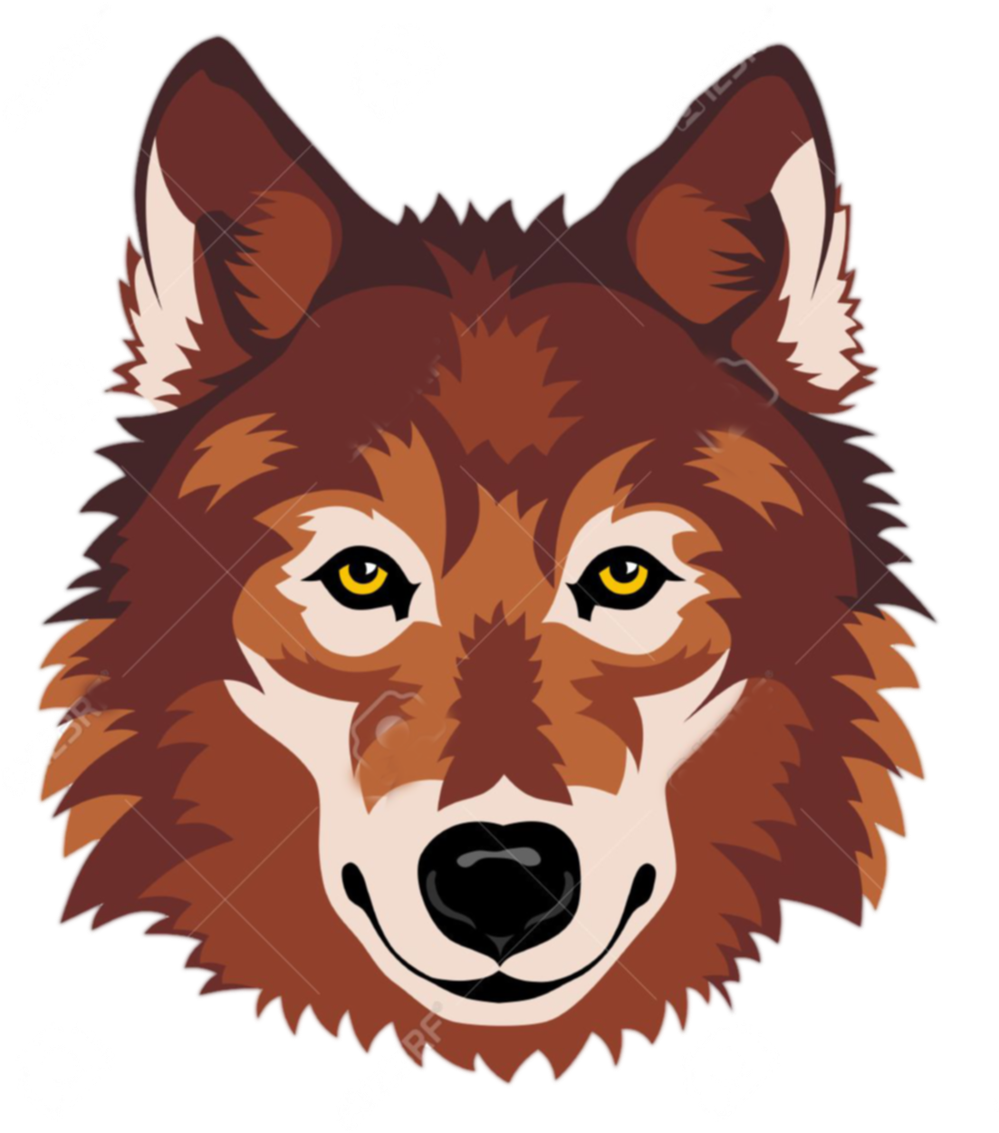 Gray Wolf Clip Art - Clipart Wolf Face (1138x1300)